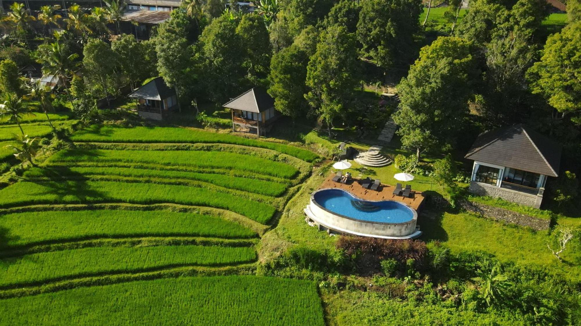 Mayura Bali Villa Munduk  Exterior photo