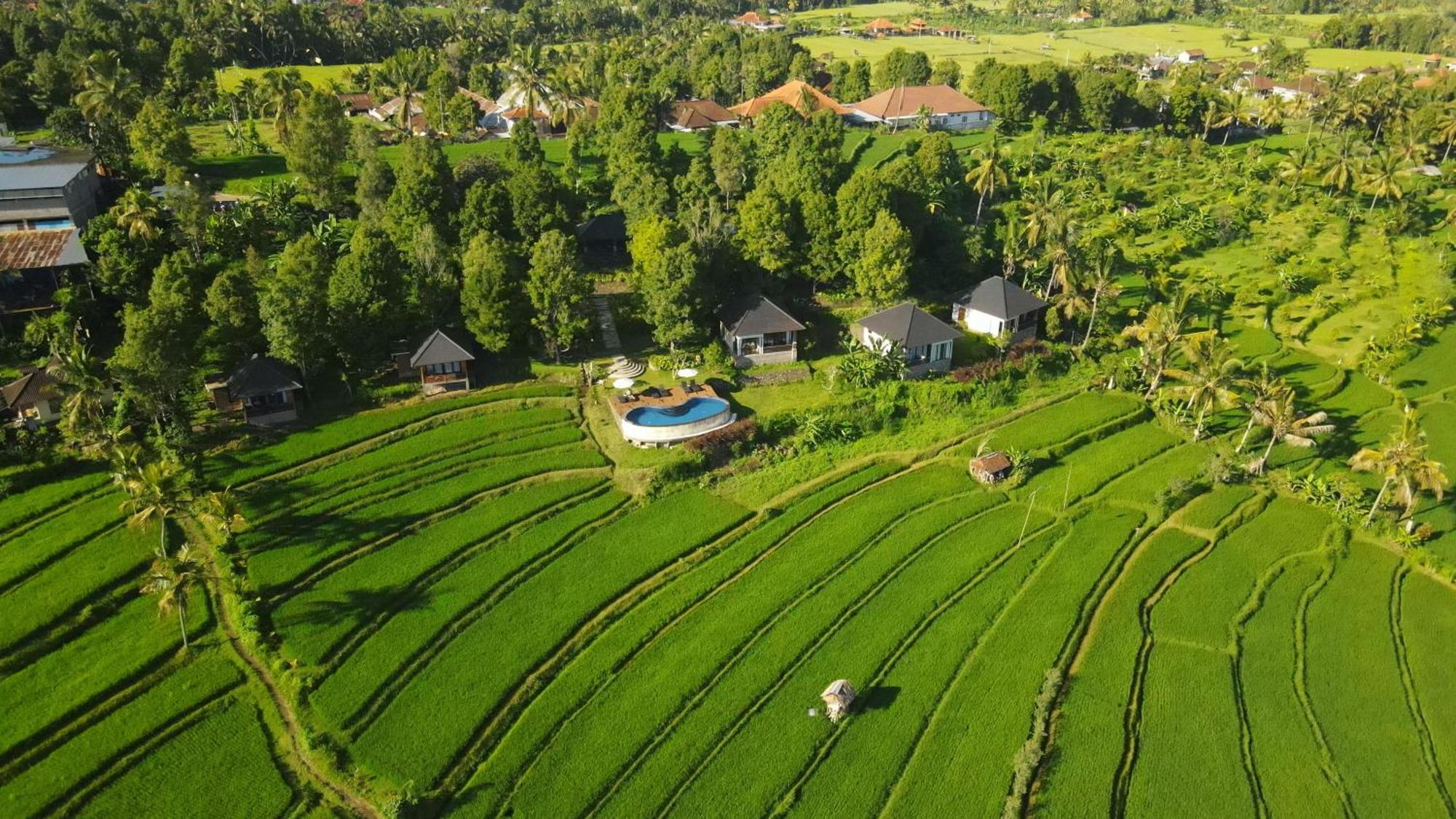 Mayura Bali Villa Munduk  Exterior photo