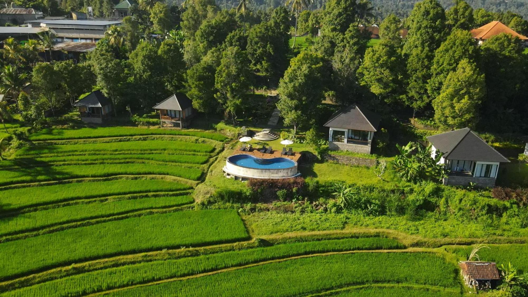 Mayura Bali Villa Munduk  Exterior photo