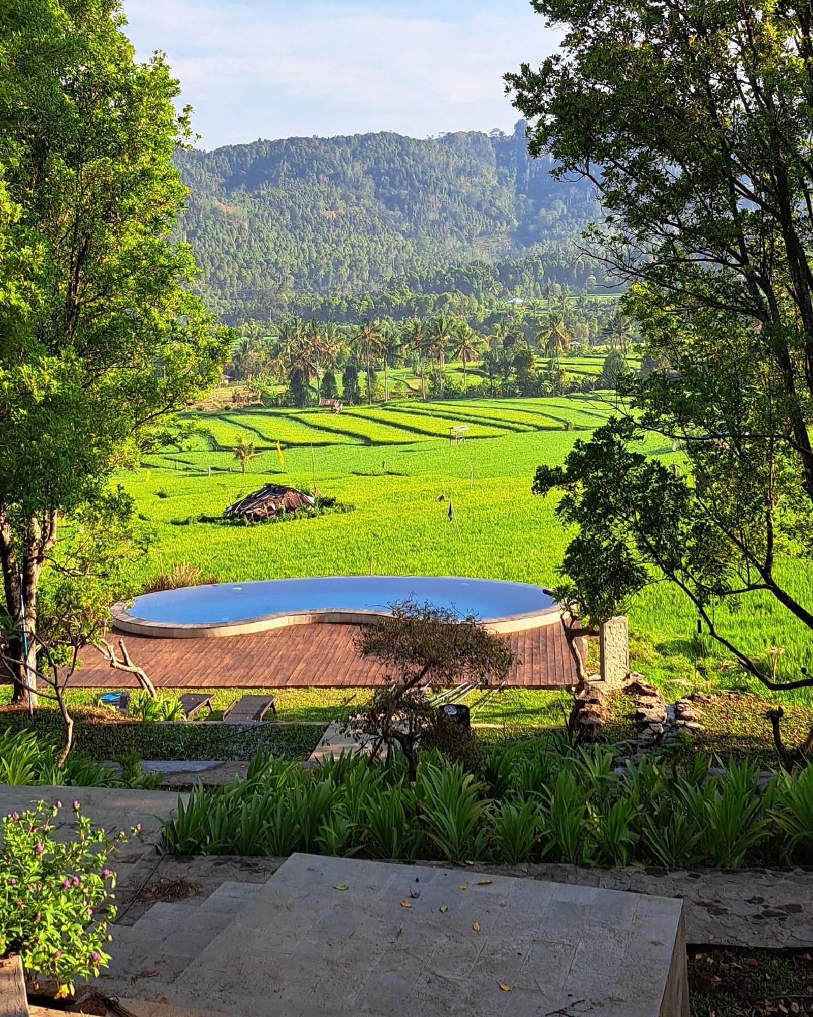 Mayura Bali Villa Munduk  Exterior photo