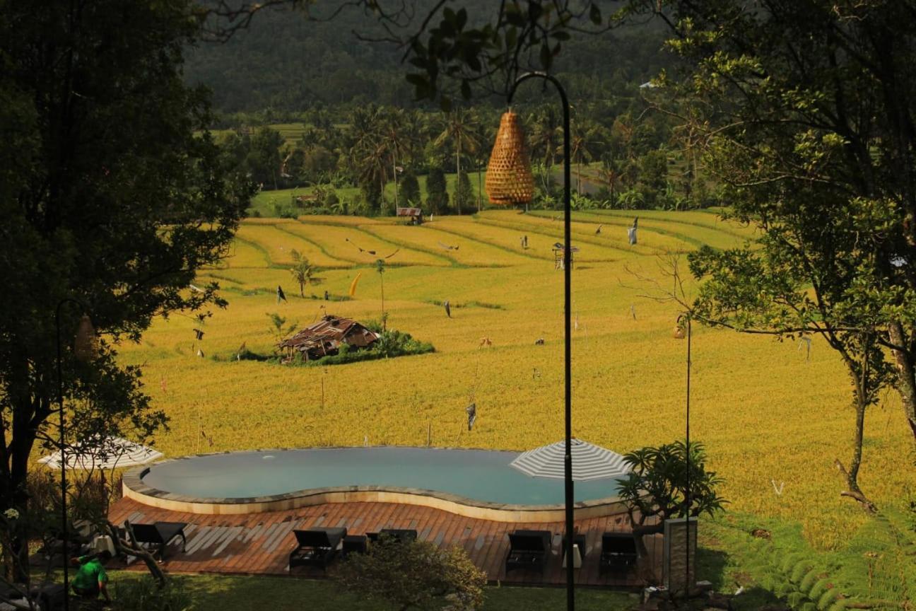 Mayura Bali Villa Munduk  Exterior photo